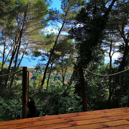 Cabane Azur Mountain Vallauris Exteriér fotografie